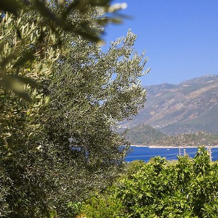 Kaktus Cakil Villa Kaş Eksteriør bilde