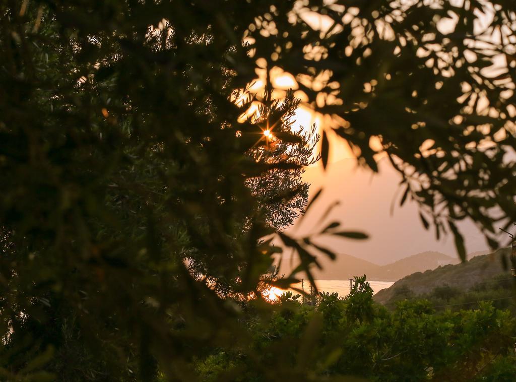 Kaktus Cakil Villa Kaş Eksteriør bilde